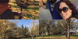 Artist Joanna Hedrick Transforms Dead Leaves Into Beautiful Land Art Creations
