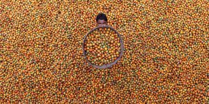 The Amazing Winning Photos Of The Siena International Photo Awards 2017