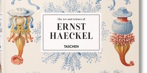 The Art And Science Of Ernst Haeckel: A Compendium Of Colorfully Rendered 19th-Century Biological Illustrations
