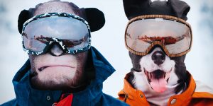 Ride Like An Animal While Wearing Ultra-Realistic Animal Ski Mask