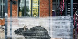An Artist Spray-Paint Animals On Plastic Wrap In The Forest With Amazing Results