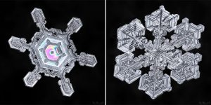 Sky Crystals: Unraveling The Mysteries Of Snowflakes By The Scientist Photographer Don Komarechka