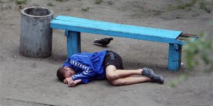 Photographer Spends 10 Years Photographing Same Bench, Captures More Than He Expects