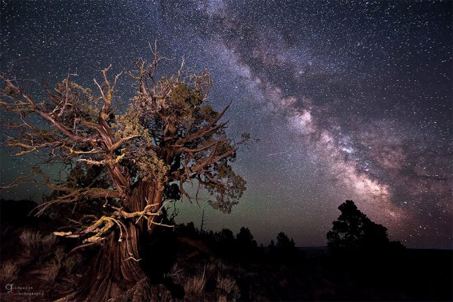 “Within Two Worlds”: Incredible Dazzling Night Sky Photos By Astro ...