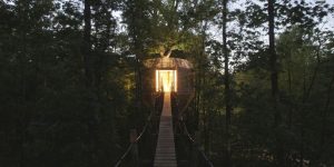 The Tiny Tree House Sits Within A Forest In France