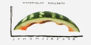 Michelle Rial's Real Life Charts
