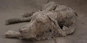 Artist Helen Thompson Creates Expressive Dog Sculptures