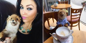 Meet The Woman Who Takes Her Taxidermy Fox Everywhere She Goes