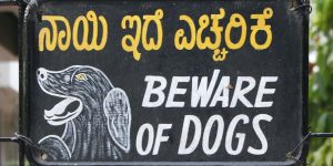 The Wired Beauty Of The Street Lettering Of India