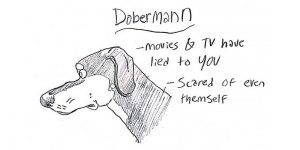 Artist Grace Gogarty Makes Hilarious Guide To Dog Breeds That Will Help You Choose Your Next Dog