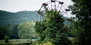 Photographer Johnny Joo Captures Forgotten Structures Overtaken By Nature