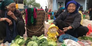 Meet The Cutest Fish Vendor In Vietnam Who Is Taking The Internet By Storm With His Adorable Pics