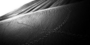 The Beauty Of Dark Arabian Deserts In Stunning Black And White Photographs By Abirato
