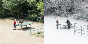 This Photographer Captured The Life Of A Ping Pong Table For 5 Years