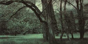 The First Russian Color Photos, 1910s