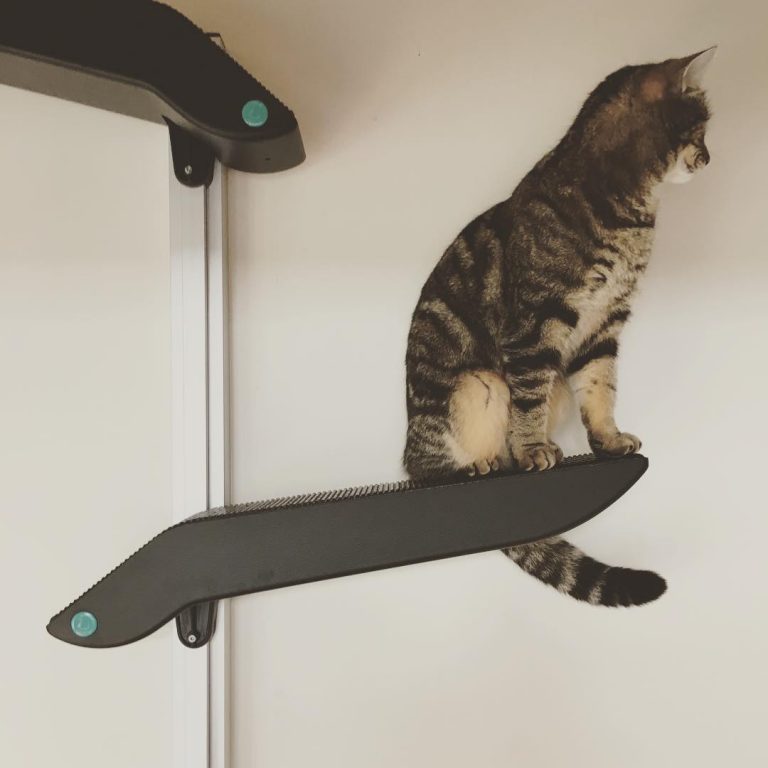 Catipilla – A Cat Climbing Frame Designed For Cats » Design You Trust ...