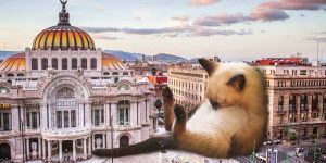 Catzillas: Giant Cats In Urban Landscapes