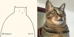 Stupid Cat Drawings On Daily Basis