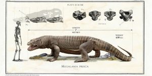 When Dize Does Matter –  Bestiarum Vocabulum: Last Of The Earth's Giants