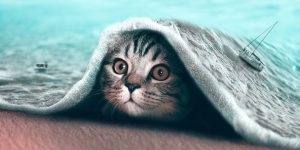 Dreamlike Animals: Whimsical Photo Manipulation By Julien Tabet