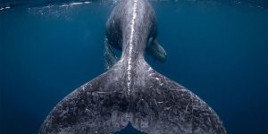 Stuning Entries For The 2018 Nat Geo Travel Photographer Of The Year Contest