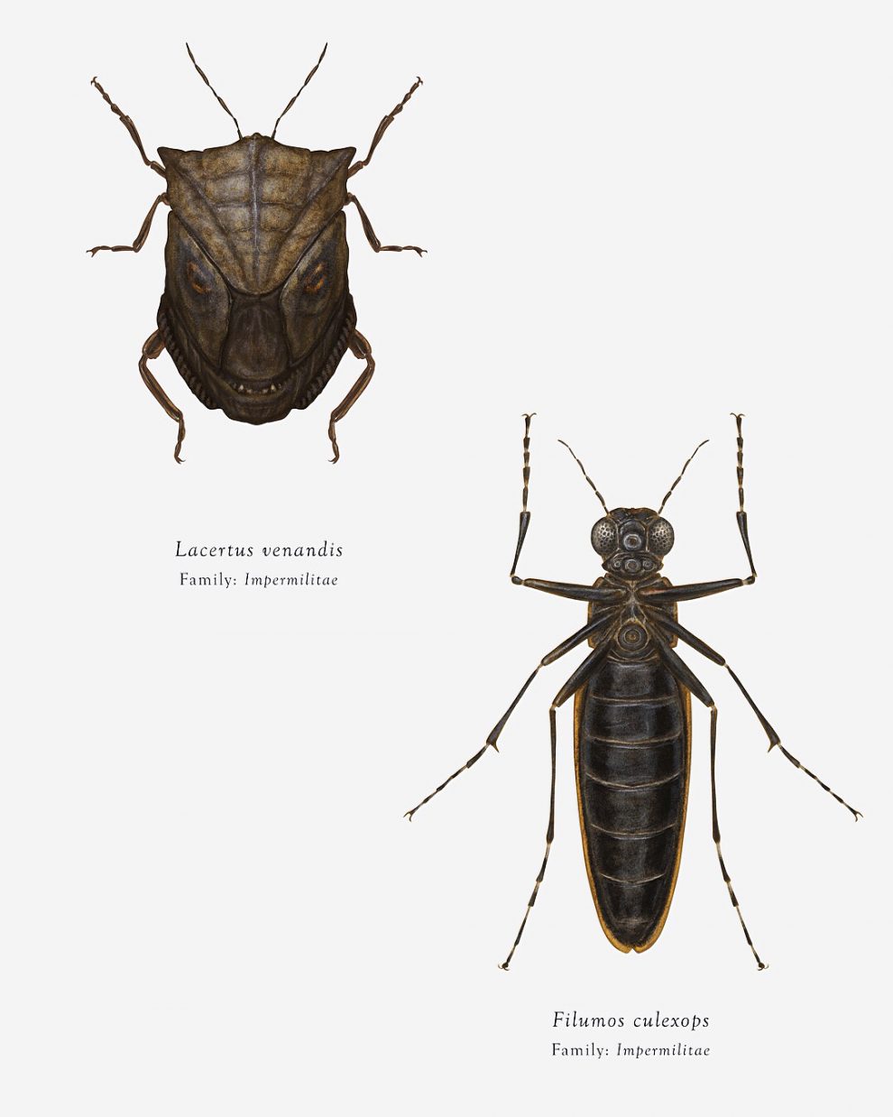 Artist Richard Wilkinson Mutates Insects To Resemble Star Wars ...