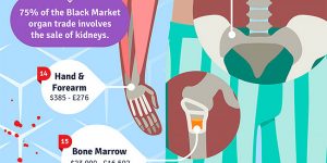 How Much Is Your Body Worth On The Black Market?