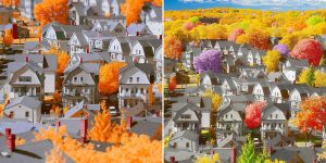 Dreamy Photos Of Boston And Massachusetts Suburbs By Greg DuBois