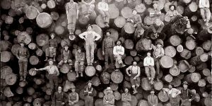 Vintage Photos Of Lumberjacks Who Felled Big Trees Using Only Hand Tools In The Early 20th Century