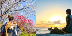 Cats Fuku-Chan And Daikichi Find Fame Travelling Around The World In A Converted Pushchair