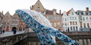 Giant Whale Against Ocean’s Pollution In Bruges