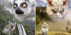Wild Masterpieces: These Glamour Shots Of Animals Are Beautiful!