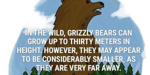 Fun Animal Facts You May Never Knew Existed Or Cared About