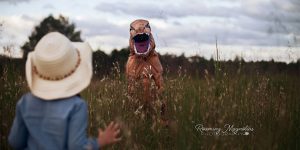 Parent Of An Autistic Son Who Hates Being In Photos T-Rex Solution Isn't Just Brilliant, It's Hilarious