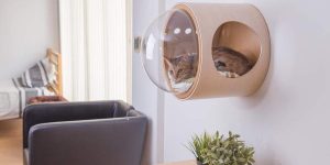 No One Will Know This Is a Space-Age Napping Pod For Your Cat