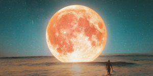 Artist Transforms Photographs Into Completely Superb Different Images With Photoshop