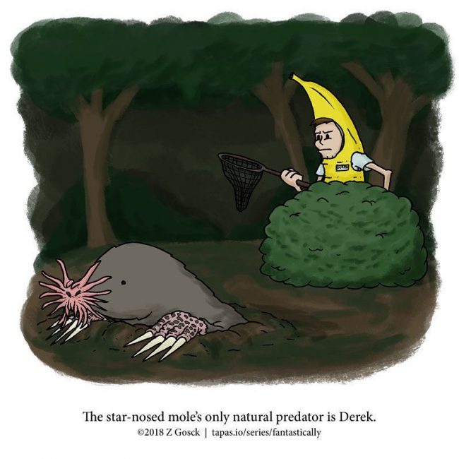 Fun Animal Facts You May Never Knew Existed Or Cared About » Design You