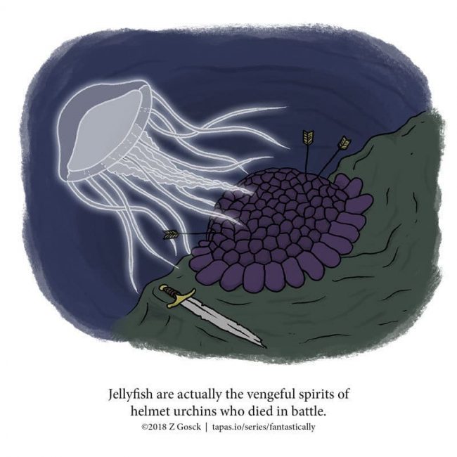 Fun Animal Facts You May Never Knew Existed Or Cared About » Design You