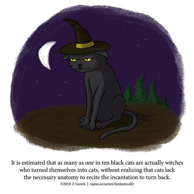 Fun Animal Facts You May Never Knew Existed Or Cared About » Design You