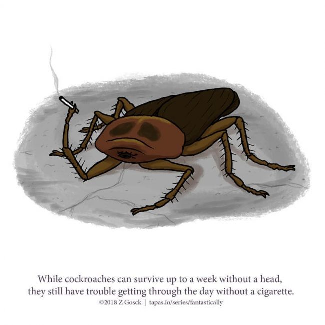 Fun Animal Facts You May Never Knew Existed Or Cared About » Design You