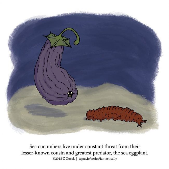 Fun Animal Facts You May Never Knew Existed Or Cared About » Design You