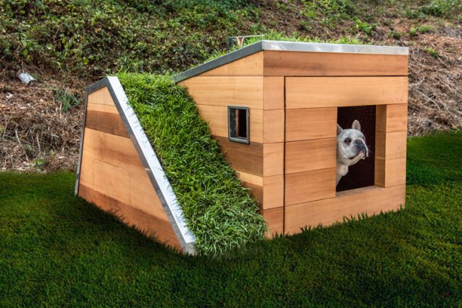 Modern Dog House Wood Green Roof 040918 1255 01