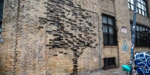 Trees Grow From Bricks And A Storefront On The Streets Of New York