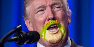 You’ll Never Be Able To Unsee This Frog On Trump’s Chin