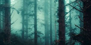 Beneath Dark Skies:  Surreal Photo Works Of Shane Labelle