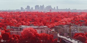 Photographer Pierre-Louis Ferrer Shows Viewers The Beauty Of France, Shooting The Country In Infrared