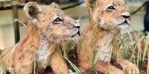 South African Artist Creates Fantastic Life-Sized Cake Sculptures