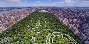 This Is How NYC Central Park Would Have Looked Based On A Rejected Design From 1858