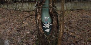 Beautiful Painting On Trees By Eugeniya Dudnikova