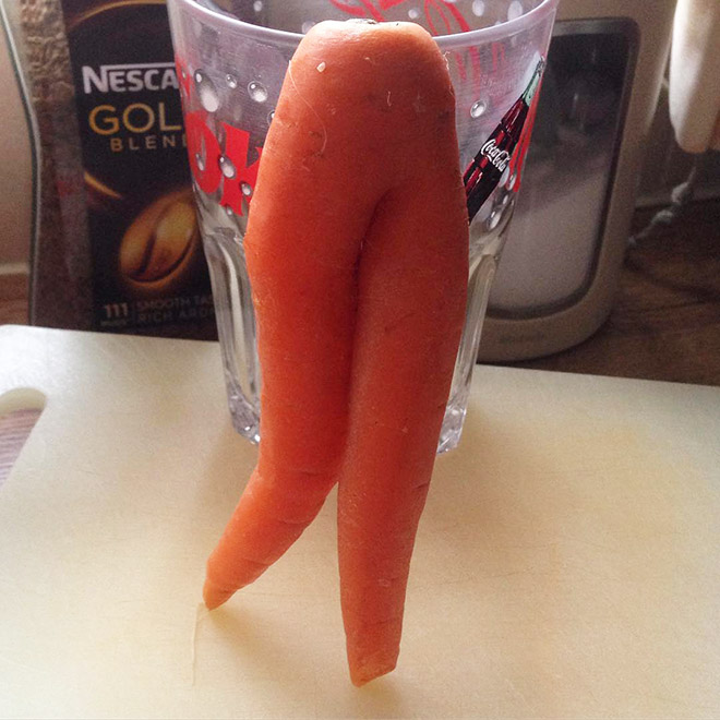 The World's Greatest Gallery Of Seductive Carrots » Design You Trust